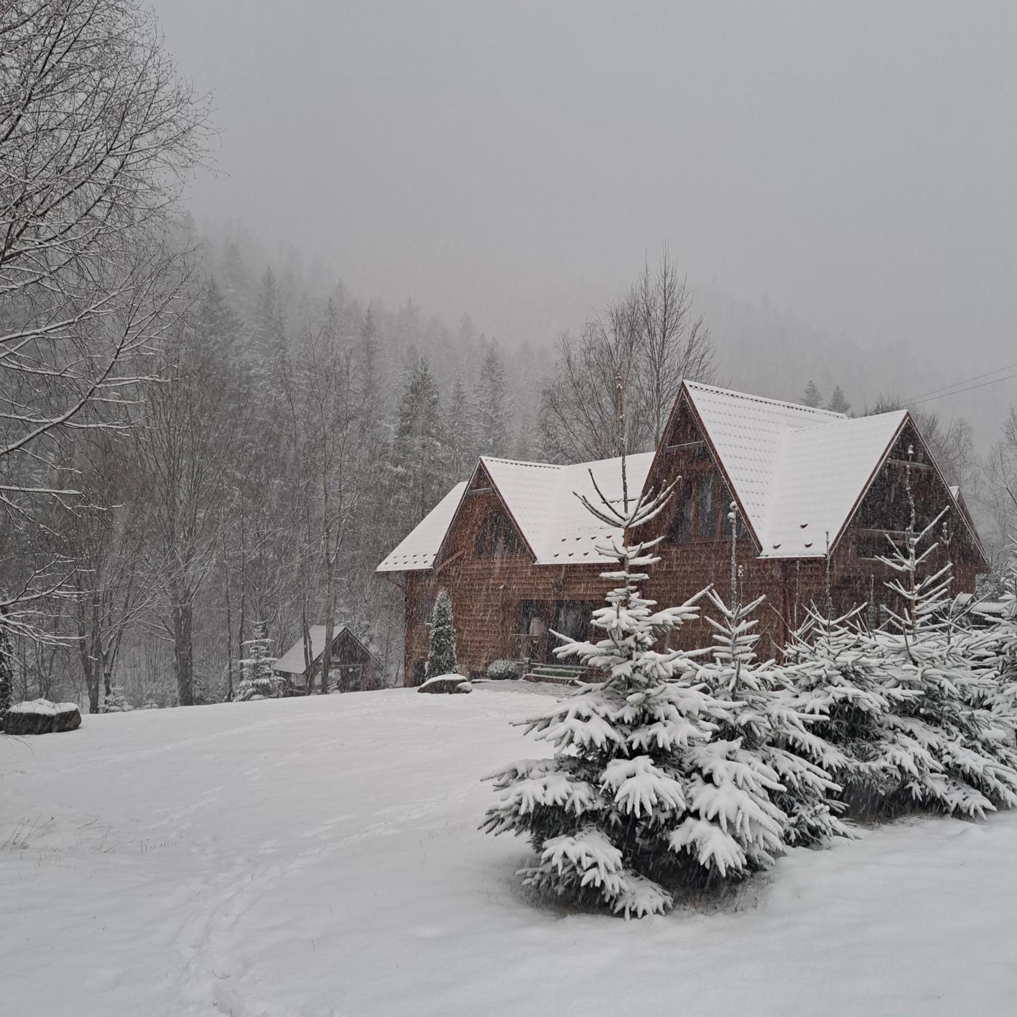 Villa Зарінок Карпат Mykulychyn Exterior foto